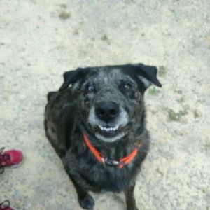 Meet your Posher, Regina